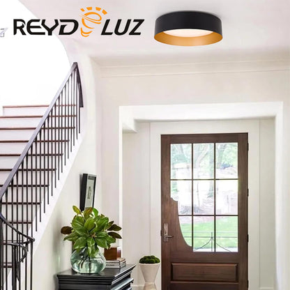 REYDELUZ 12.5" Flush Mount Modern Ceiling Light