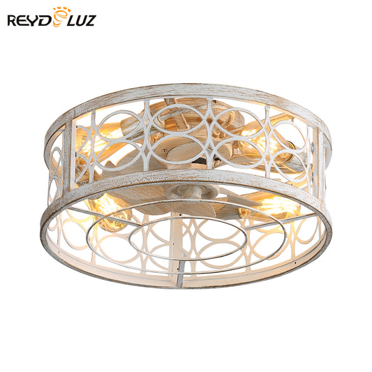 REYDELUZ 20" Caged Ceiling Fan with Light.