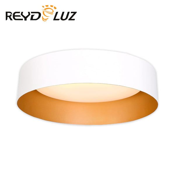 REYDELUZ 12.5" Flush Mount Modern Ceiling Light