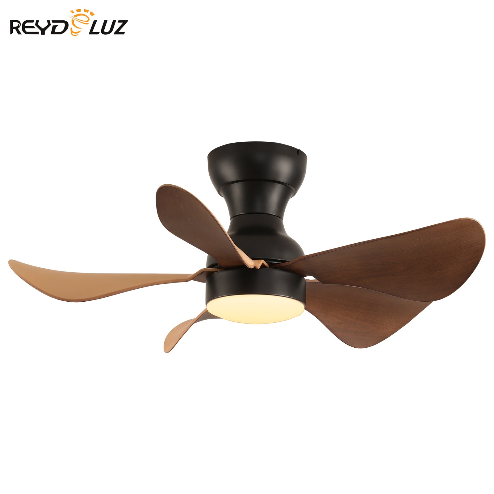 REYDELUZ 30" Ceiling Fan with Lights for 5 Blades Modern Ceiling Fans for Indoor.