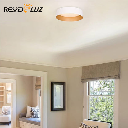 REYDELUZ 12.5" Flush Mount Modern Ceiling Light