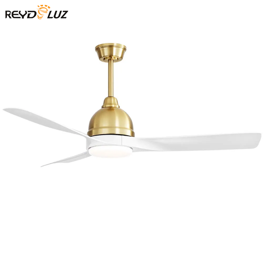 REYDELUZ 54'' Modern Ceiling Fan 6 Speed Remote Control Dimmable Reversible DC Motor