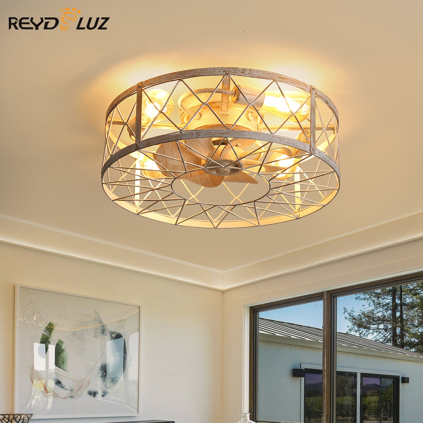 REYDELUZ 20" Caged Ceiling Fan with Light.