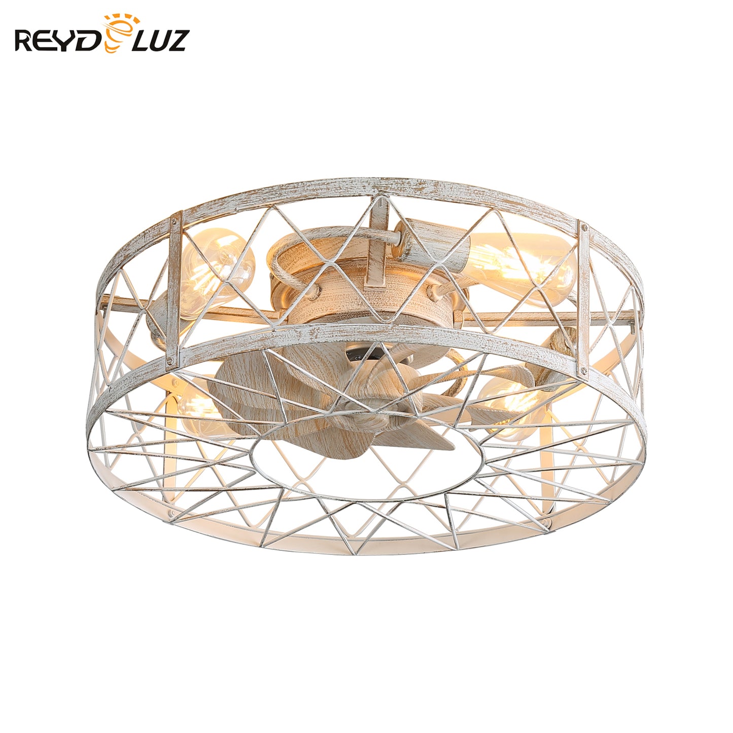 REYDELUZ 20" Caged Ceiling Fan with Light.