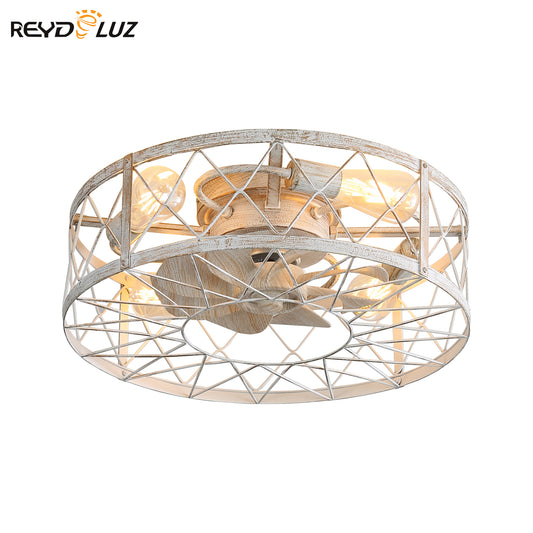 REYDELUZ 20" Caged Ceiling Fan with Light.