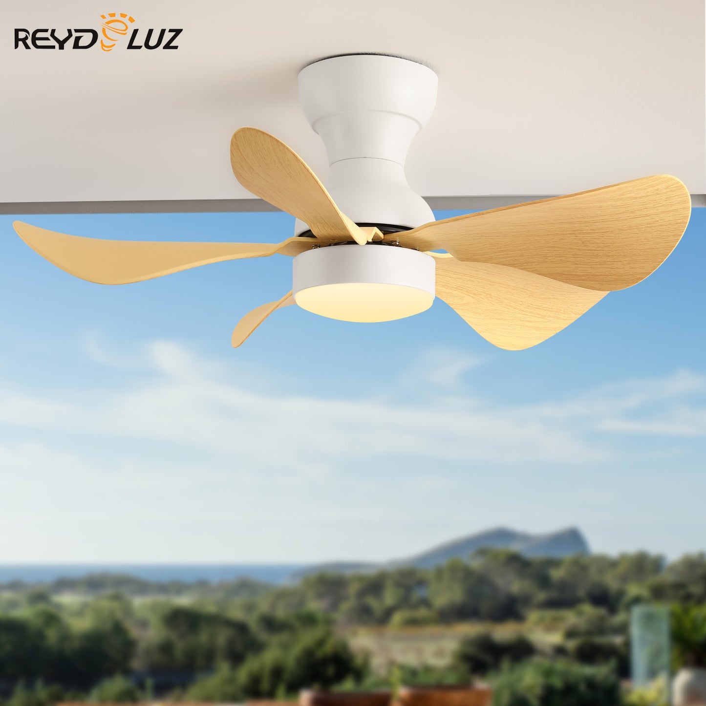 REYDELUZ 30" Ceiling Fan with Lights for 5 Blades Modern Ceiling Fans for Indoor.