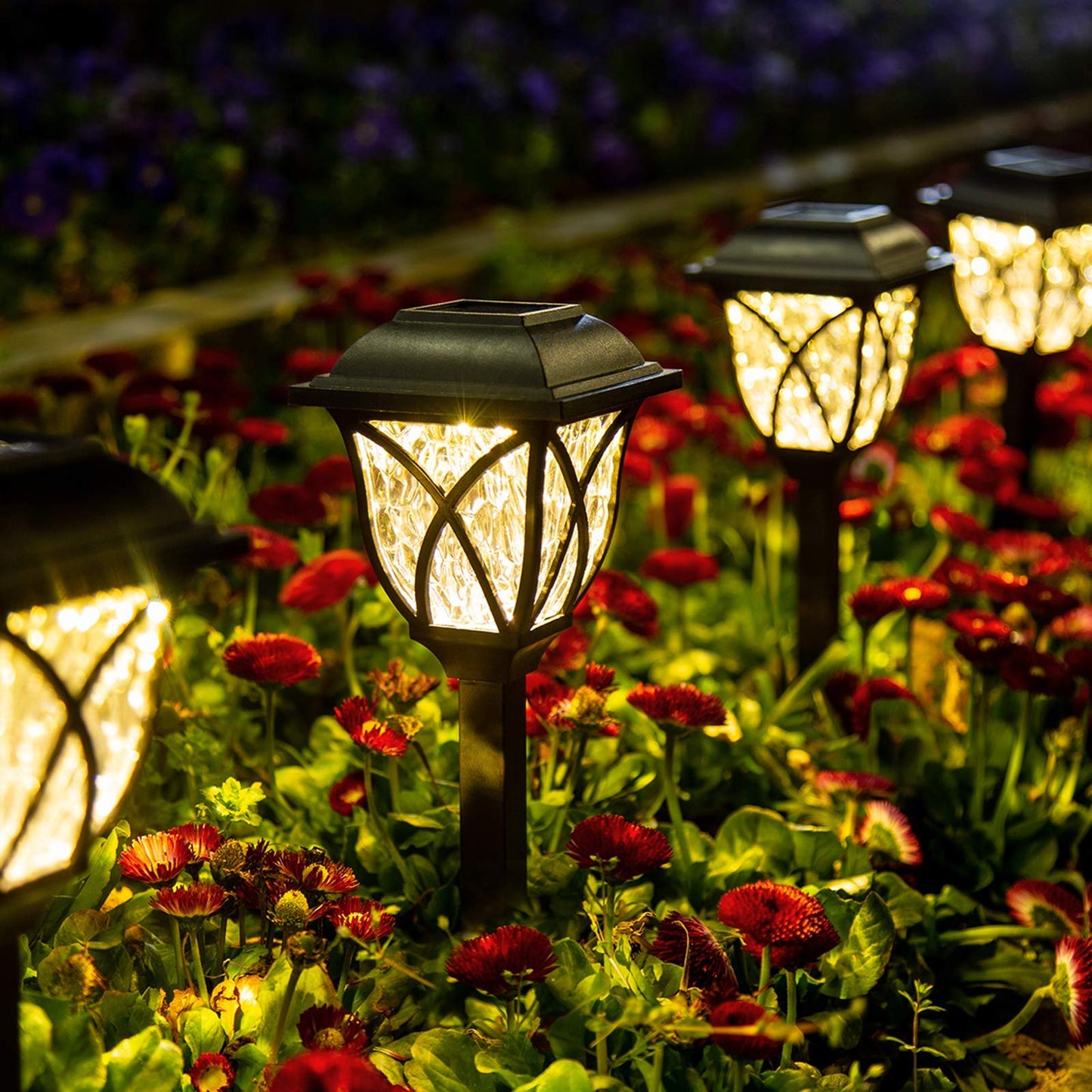 REYDELUZ Outdoor Waterproof, LED Garden Lights.