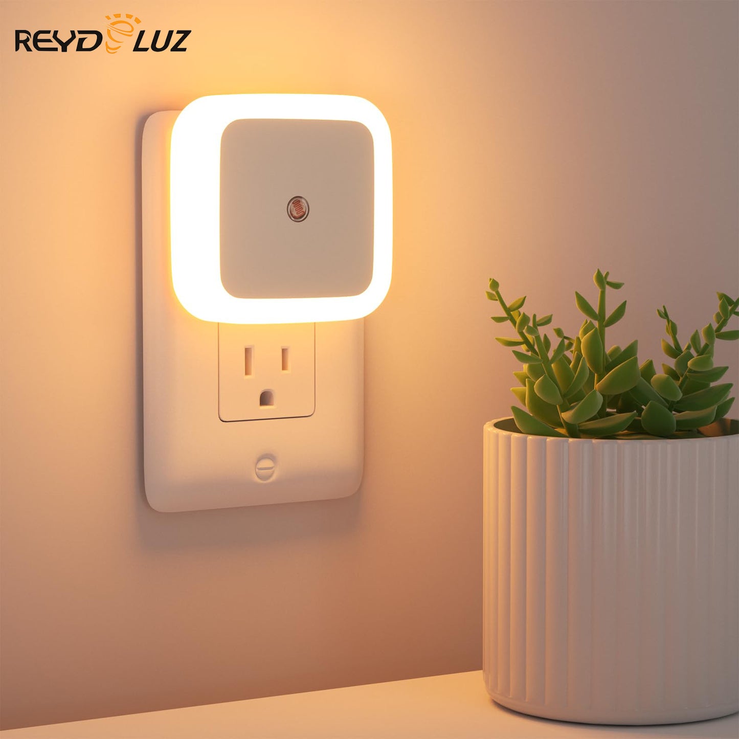 REYDELUZ 3" Night Lights Plug into Wall/6000K.