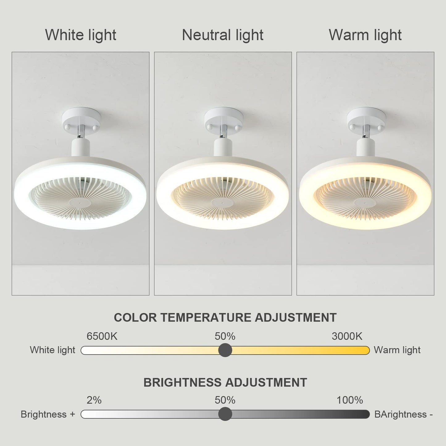 REYDELUZ 10.2" Socket Fan Ceiling Fan with Light and Remote.